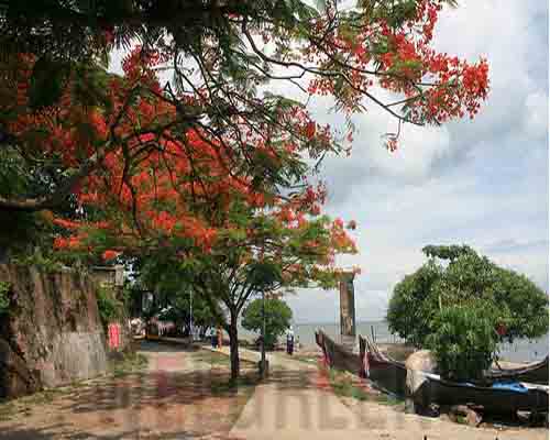 Welgreen Kerala Holidays