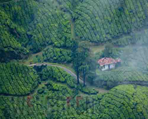 Welgreen Kerala Holidays