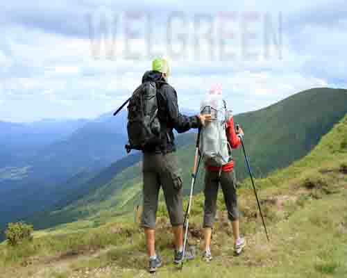 Welgreen Kerala Holidays